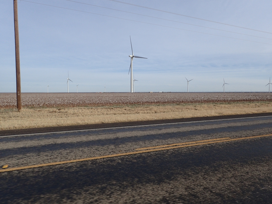Cotton fields and wind-turbines in West Texas