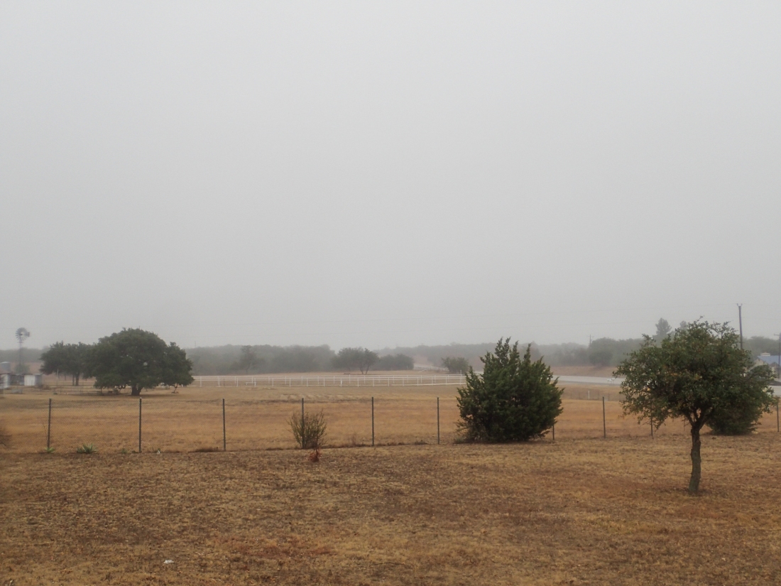 Overcast and damp, Texas