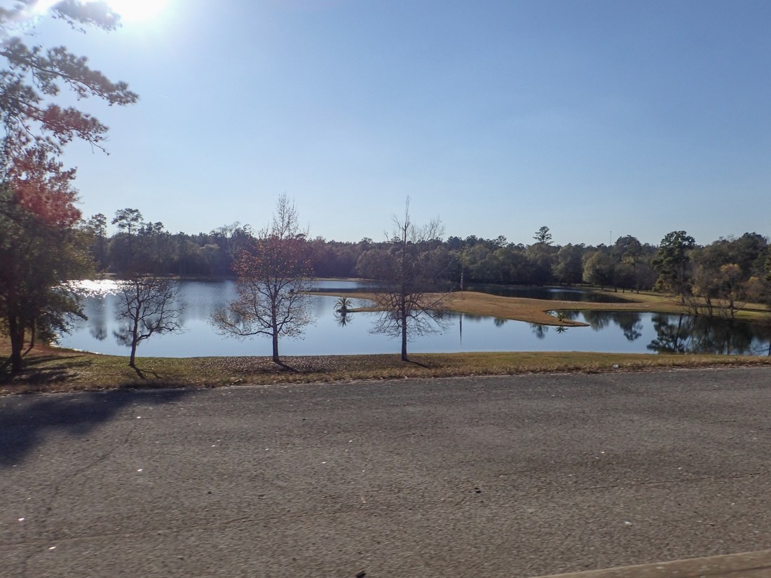 Sam Houston National Forest, Texas